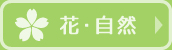花・グルメ